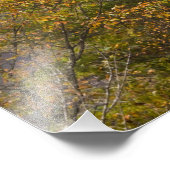 ニューリバー渓谷ブリッジ、ニューリバー渓谷 フォトプリント            (角)