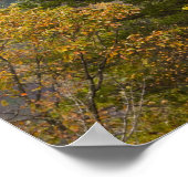 ニューリバー渓谷ブリッジ、ニューリバー渓谷 ポスター (角)