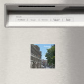 ニュールンベルク磁石 マグネット (インサイチュ (食洗機))