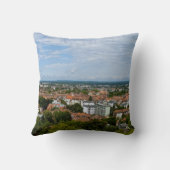 ニュールンベルク クッション (裏面)