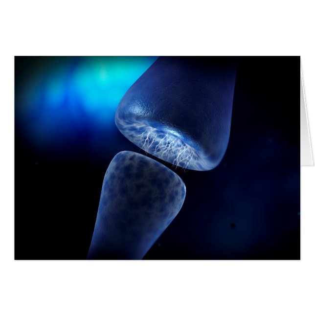 ニューロンのシナプスの概念像 (正面横)