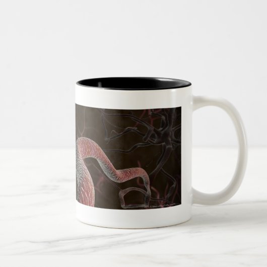 ニューロンのデジタルレンダリング ツートーンマグカップ (右)