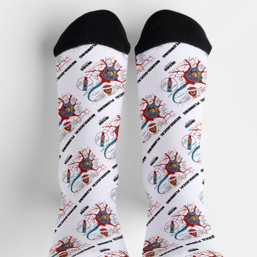 ニューロンの内部の神経系統の配管シナプスのユーモア ソックス (上部)