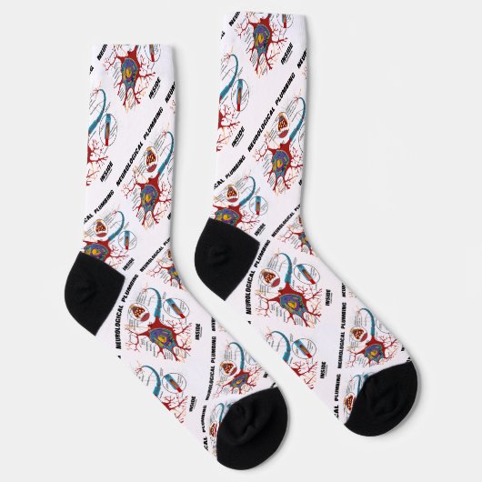 ニューロンの内部の神経系統の配管シナプスのユーモア ソックス (右)