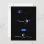 ニューロンの概念像1 ポストカード (正面/裏面)