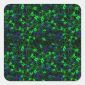 ニューロンシティステッカー スクエアシール (正面)