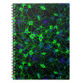 ニューロンシティフォトノートブック ノートブック (正面)