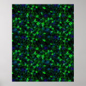 ニューロンシティポスター ポスター (正面)