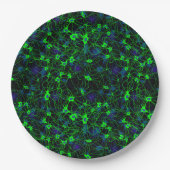 ニューロンシティ紙プレート ペーパープレート (正面)