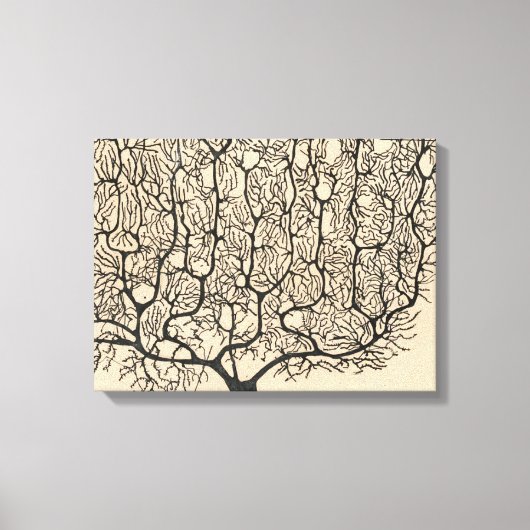 ニューロンスケッチバイサンティアゴラモンYカハル キャンバスプリント (正面)