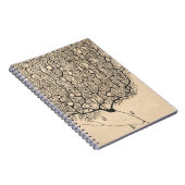 ニューロンスケッチバイサンティアゴラモンYカハル ノートブック (右側)