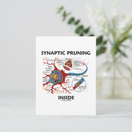 ニューロン内のシナプス剪定運動シナプスギークユーモア ポストカード (スタンド正面)
