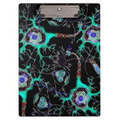 ニューロン! クリップボード (正面)