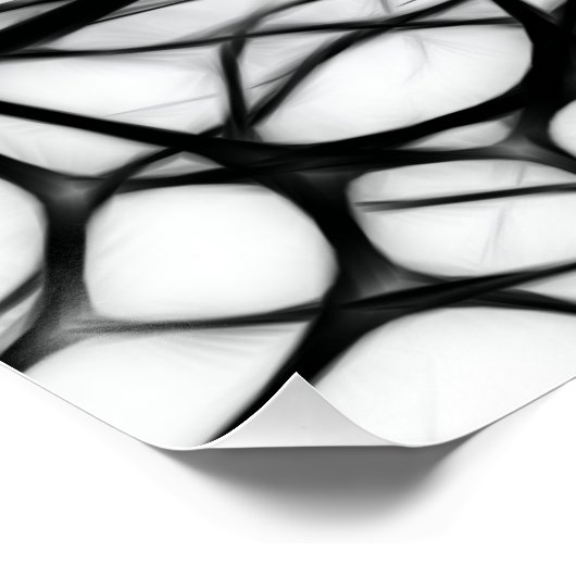 ニューロン ポスター (コーナー)