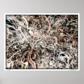 ニューロン ポスター (正面)