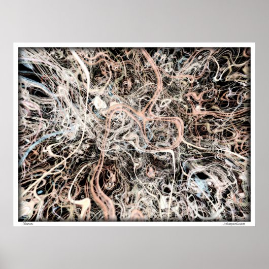 ニューロン ポスター (正面)
