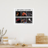 ニューワールドバルチャーズイラストレーション ポスター (キッチン)