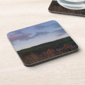 ニュー夕べの平和 コースター (左側)