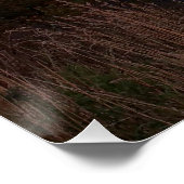 ニュー夕べの平和 ポスター (コーナー)