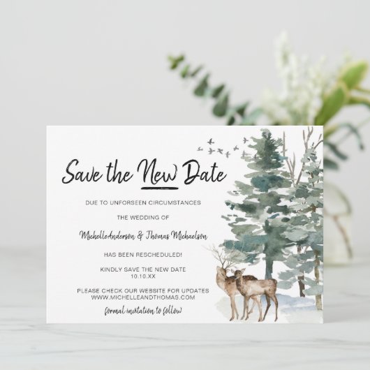 ニュー日程の森の木々の松を保存 セーブザデート (スタンド正面)