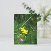 ニュー春の牧草地 ポストカード (スタンド正面)