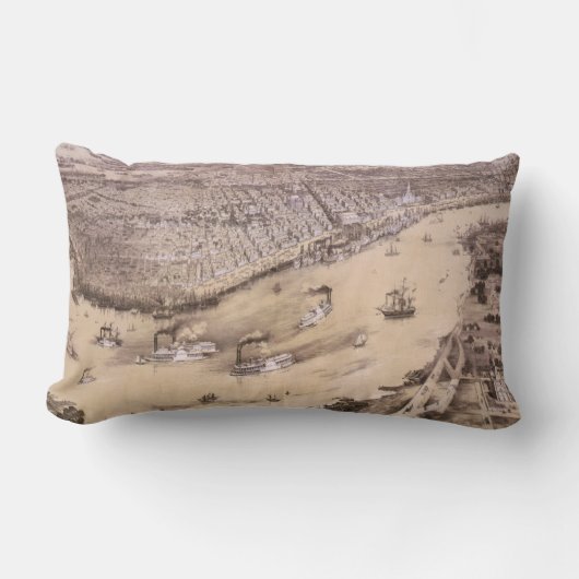 ニュー・オーリンズ(1851年)のヴィンテージの絵解き地図 ランバークッション (正面)