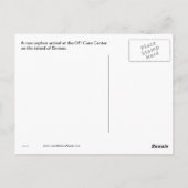 ニュー・スウィート・ベイビー・オランウータン ポストカード (裏面)