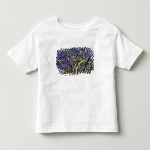 ニュー・ファーム公園の満開のジャカランダの木々 2 トドラーTシャツ