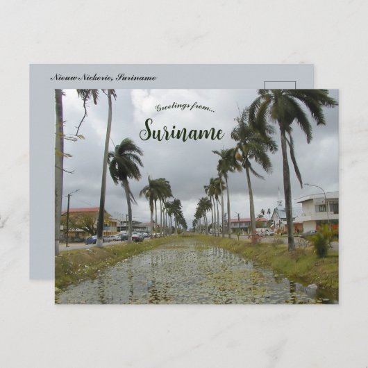 ニユーニケリースリナム葉書 ポストカード (正面/裏面)