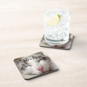 ニルヴァーナ猫 コースター (右側)