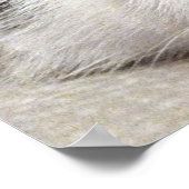 ニルヴァーナ猫 ポスター (角)