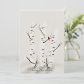 ニレの木とカーディナル シーズンカード (スタンド正面)