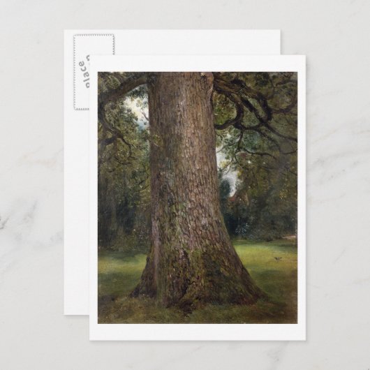 「ニレの木の幹の研究」,1821頃(油彩) ポストカード (正面/裏面)