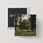 ニレの歩行 缶バッジ (正面&裏面)