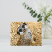 ニロエルデンヘン ポストカード (スタンド正面)