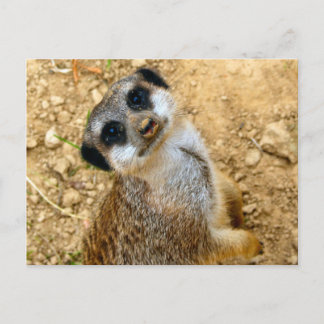 ニロエルデンヘン ポストカード