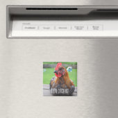 ニワトリが大好き…黒銅マランロ磁石 マグネット (インサイチュ (食洗機))