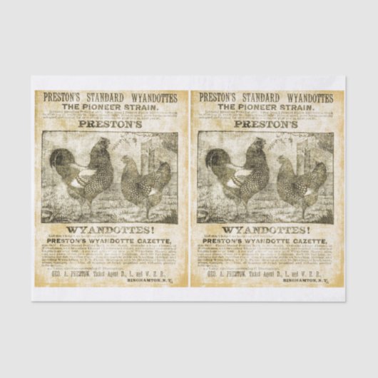 ニワトリが欲しい（ダブルイメージ） 薄葉紙 (正面)