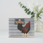 ニワトリが鍵西ポーチポスターを守る ポストカード (スタンド正面)