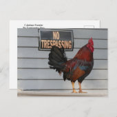 ニワトリが鍵西ポーチポスターを守る ポストカード (正面/裏面)