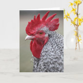 ニワトリさん こんにちは カード (黄色い花)