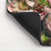 ニワトリとヒヨコの花 マウスパッド (コーナー)