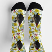 ニワトリとフランジパニス、クルーソックス ソックス (上部)