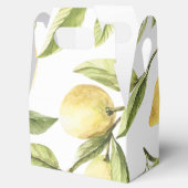 ニワトリの木 フェイバーボックス (オープン)