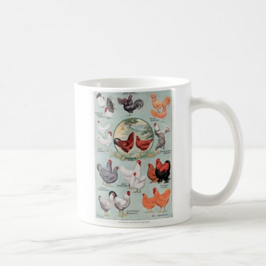 ニワトリの標準品種 コーヒーマグカップ (右)