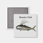 ニワトリの魚の背景 マグネット (正面/裏面)