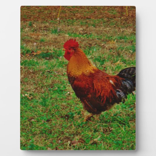 ニワトリ向離れ フォトプラーク (正面)
