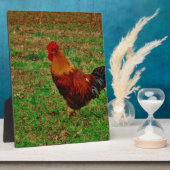 ニワトリ向離れ フォトプラーク (側面)