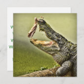 ニワトリ捕らえる昼食野生生物写真 招待状 (正面/裏面)