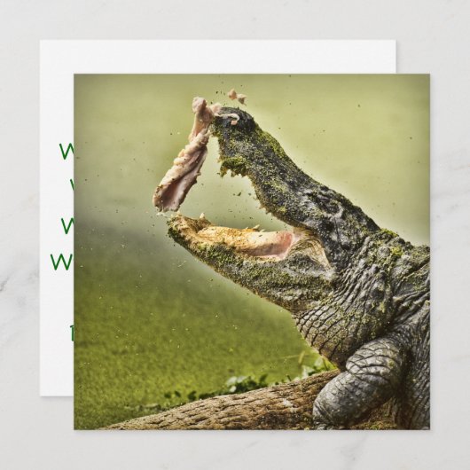 ニワトリ捕らえる昼食野生生物写真 招待状 (正面/裏面)